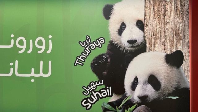 1672417504506091038.jpg 99.jpg